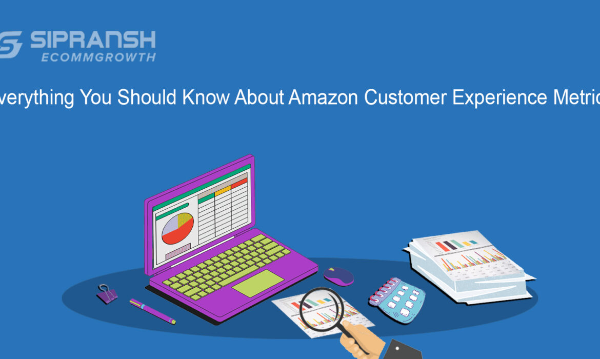 Everything You Should Know About Amazon Customer Experience Metrics