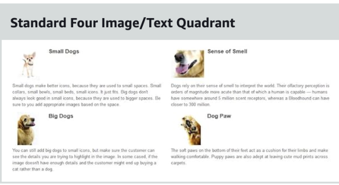 Standard Fourth Image Text/Quadrant: Arranged in a 2×2 matrix, similar to module 3.