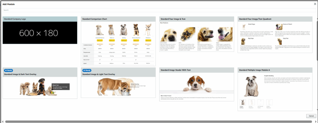 Amazon A+ content examples: How to improve your listings in 2025