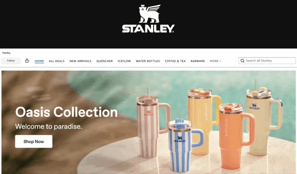 Amazon Storefront Examples: How to Stand Out in 2025