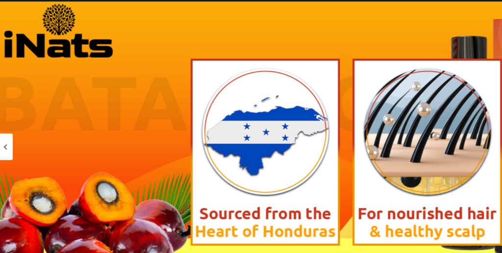 How Can Small Sellers Compete with the Big Brands on Amazon?